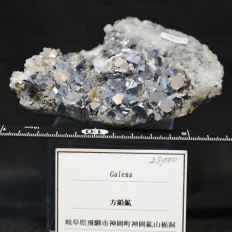 方鉛鉱・Galena