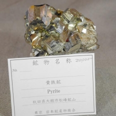 黄鉄鉱・Pyrite