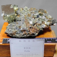 黄鉄鉱・Pyrite