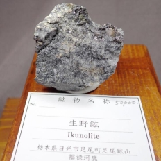 生野鉱・Ikunolite