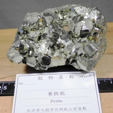 黄鉄鉱・Pyrite