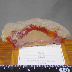 瑪 瑙・Agate