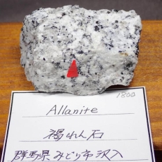 褐簾石・Allanite